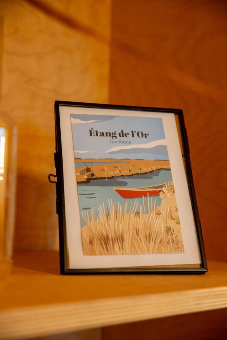 Le Mazet De L'Or - Climatisation Et Vue Sur L'Etang Appartement Pérols Kamer foto